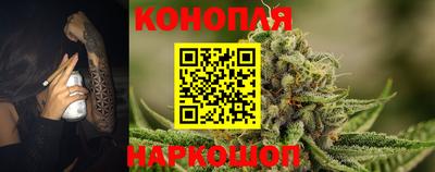 apvp Краснодар